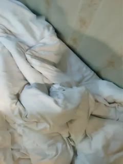 忘忧草日本在线影视社区www,A级毛片免费看久久