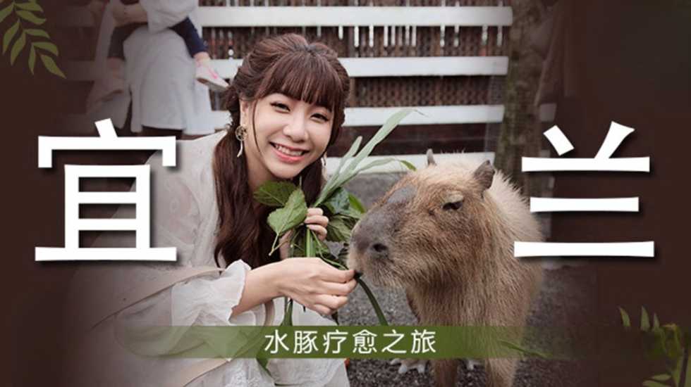午夜AV在线播放,四神集团最肉的部分